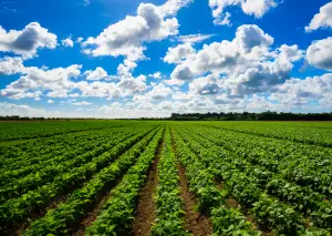 agriculture law